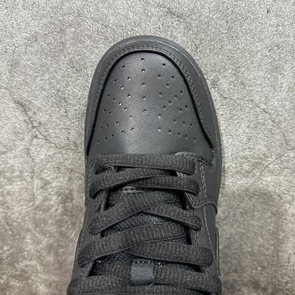 New VT Dunk Low NIKE