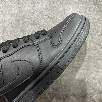 New VT Dunk Low NIKE