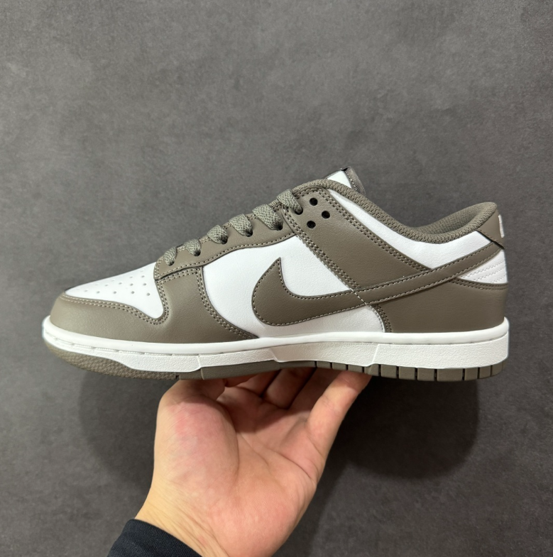 New VT Dunk Low NIKE