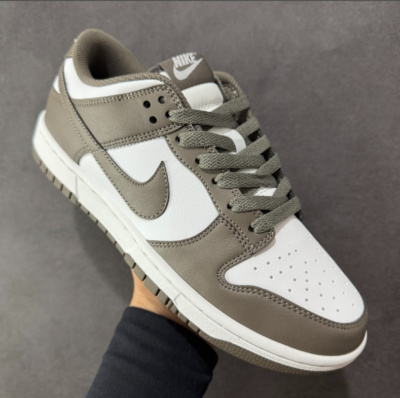 New VT Dunk Low NIKE